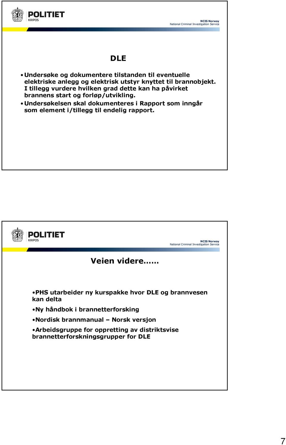 Undersøkelsen skal dokumenteres i Rapport som inngår som element i/tillegg til endelig rapport.