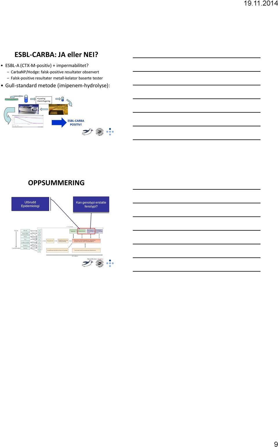 metall-kelator baserte tester Gull-standard metode (imipenem-hydrolyse): Lysering