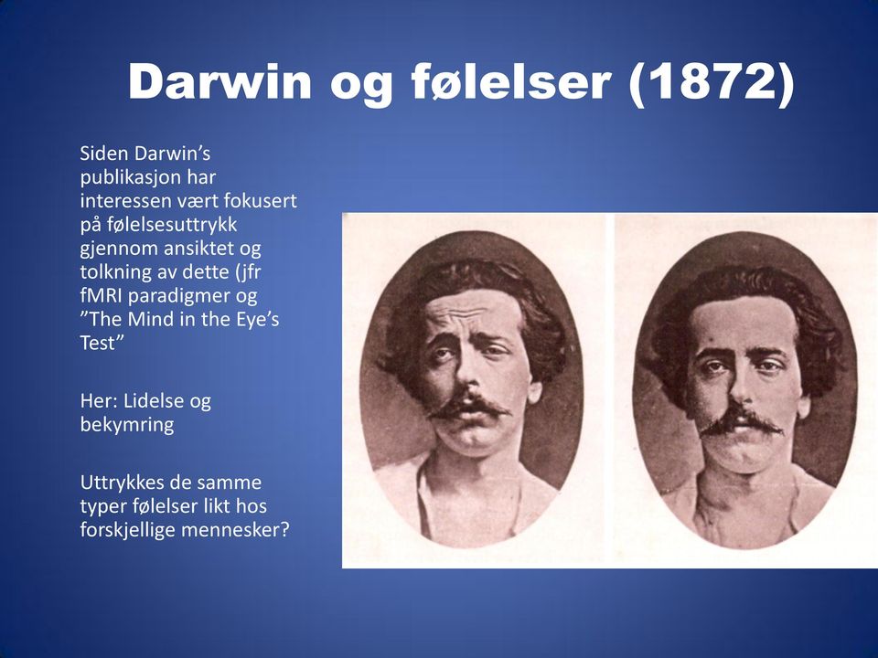 (jfr fmri paradigmer og The Mind in the Eye s Test Her: Lidelse og