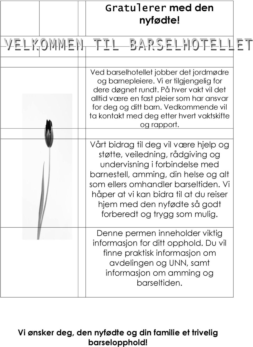 Vårt bidrag til deg vil være hjelp og støtte, veiledning, rådgiving og undervisning i forbindelse med barnestell, amming, din helse og alt som ellers omhandler barseltiden.