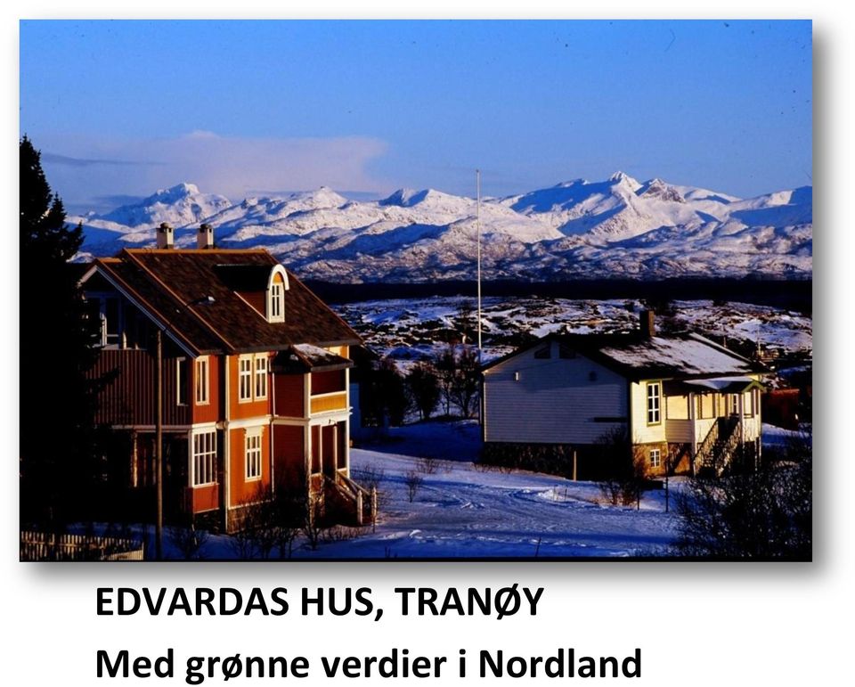 Med grønne