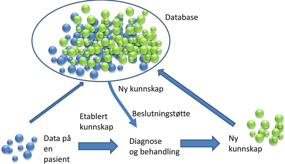 kunnskap Beslutningstøtte