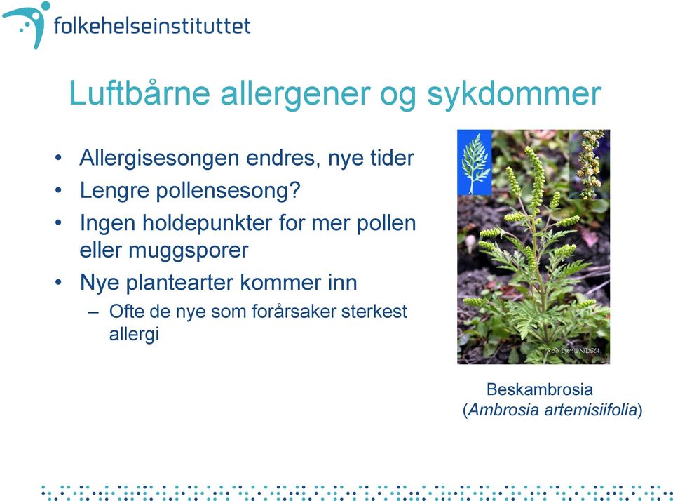 Ingen holdepunkter for mer pollen eller muggsporer Nye