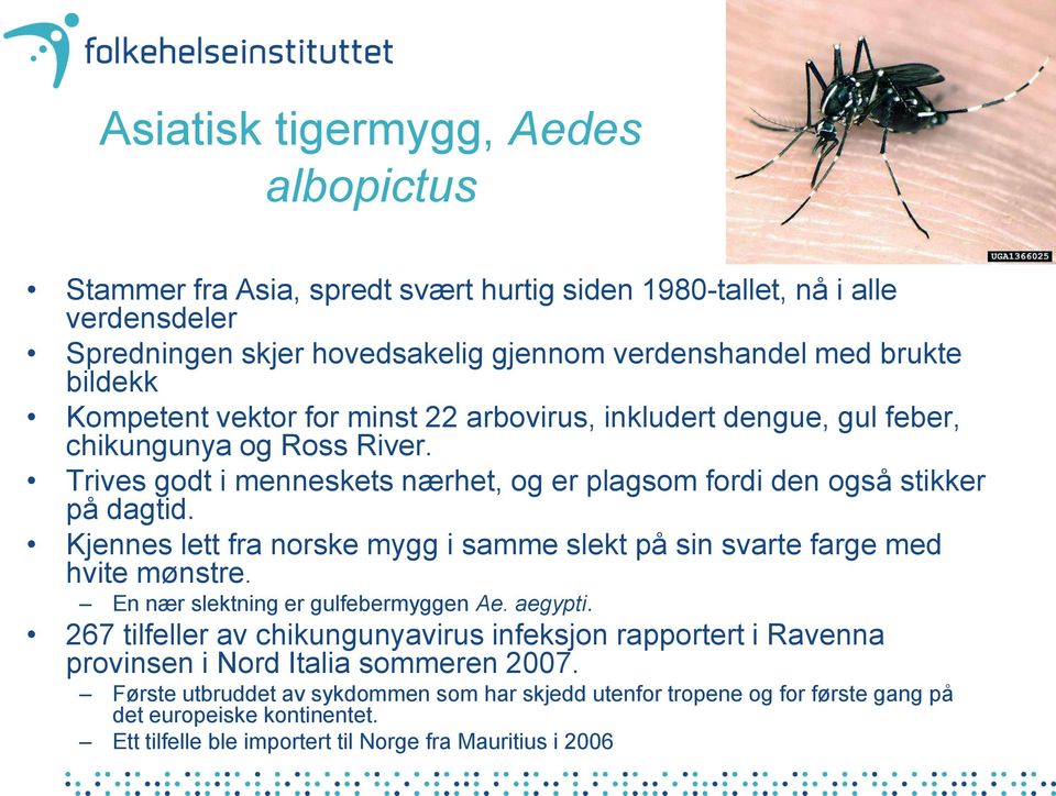 Kjennes lett fra norske mygg i samme slekt på sin svarte farge med hvite mønstre. En nær slektning er gulfebermyggen Ae. aegypti.