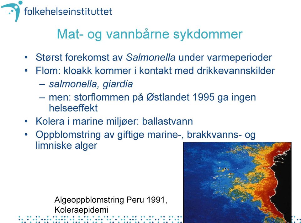 Østlandet 1995 ga ingen helseeffekt Kolera i marine miljøer: ballastvann Oppblomstring