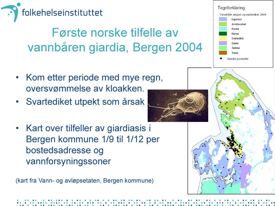 Svartediket utpekt som årsak Kart over tilfeller av giardiasis i Bergen