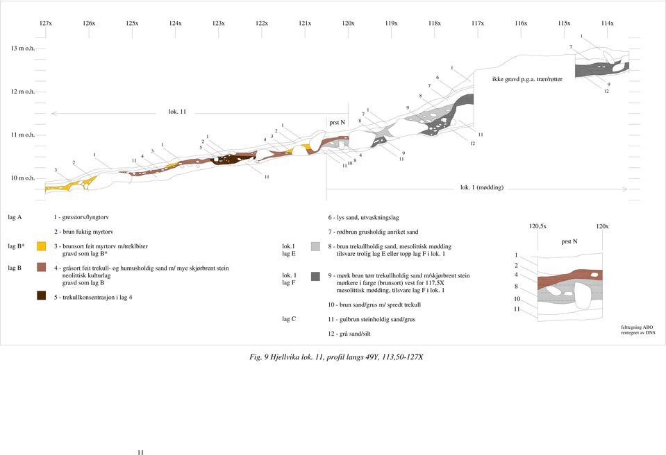 1 E 6 - lys sand, utvasknings 7 - rødbrun grusholdig anriket sand 8 - brun trekullholdig sand, mesolittisk mødding tilsvare trolig E eller topp F i lok.
