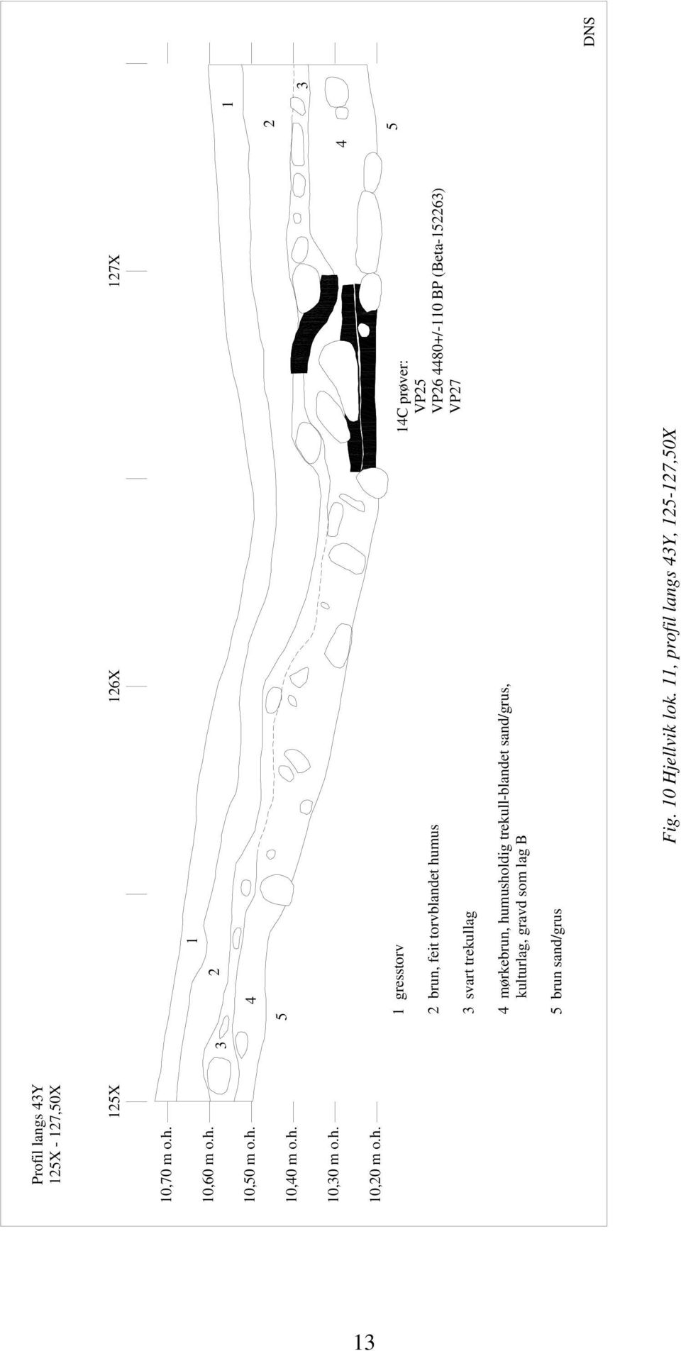 VP25 VP26 4480+/-110 BP (Beta-152263) VP27 4 mørkebrun, humusholdig trekull-blandet sand/grus, kultur,