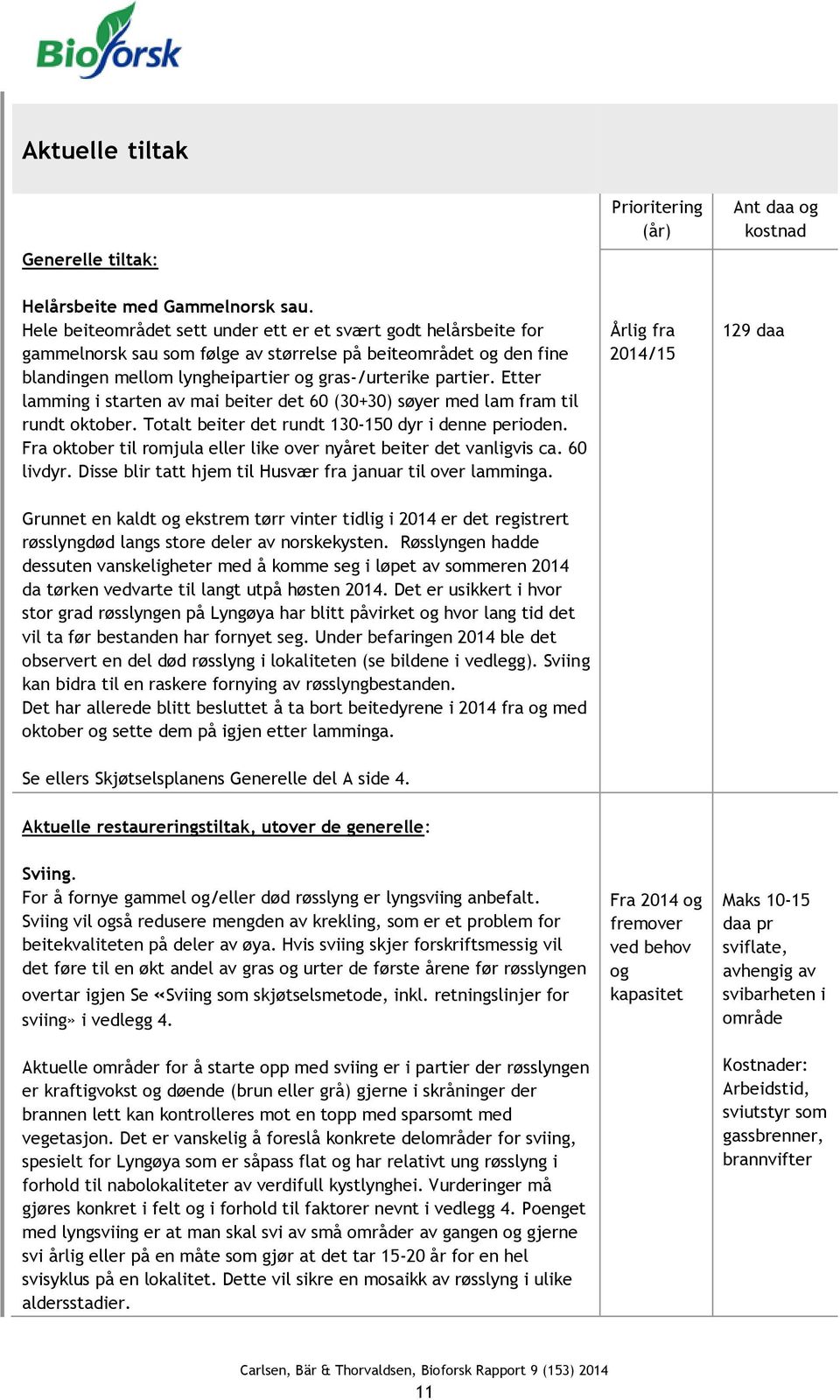 Etter lamming i starten av mai beiter det 60 (30+30) søyer med lam fram til rundt oktober. Totalt beiter det rundt 130-150 dyr i denne perioden.