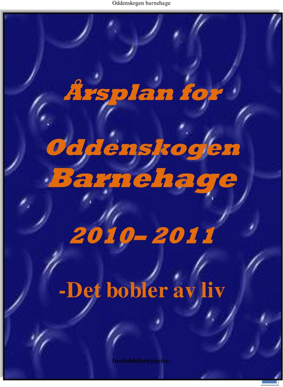 2010 2011 -Det bobler