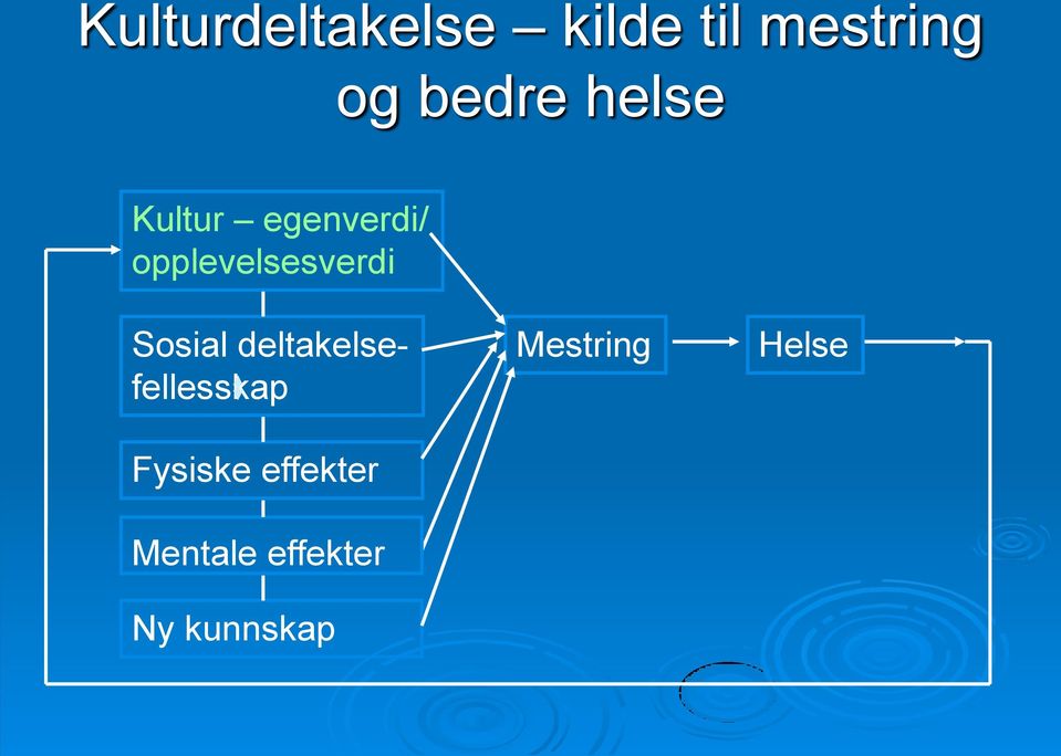 opplevelsesverdi Sosial