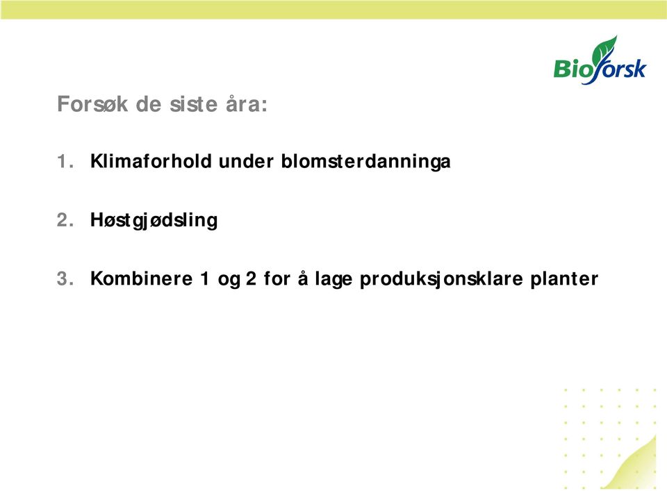 blomsterdanninga 2.