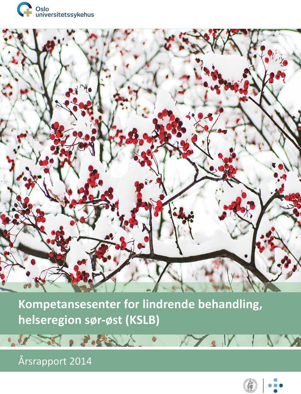 helseregion sør-øst