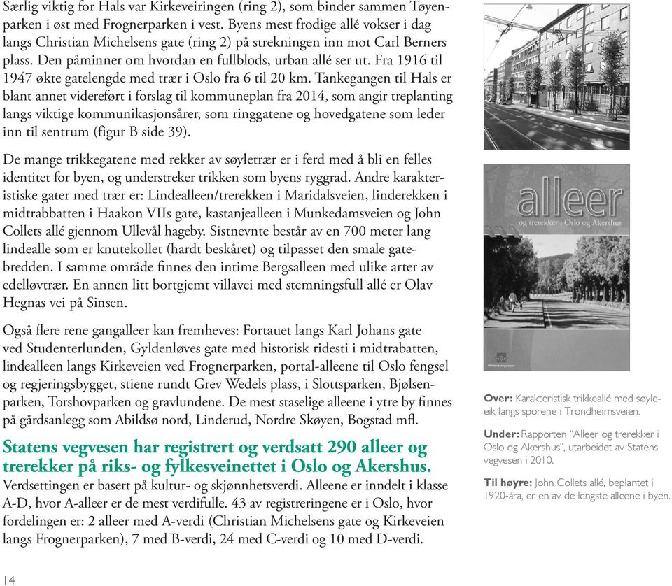 Fra 1916 til 1947 økte gatelengde med trær i Oslo fra 6 til 20 km.