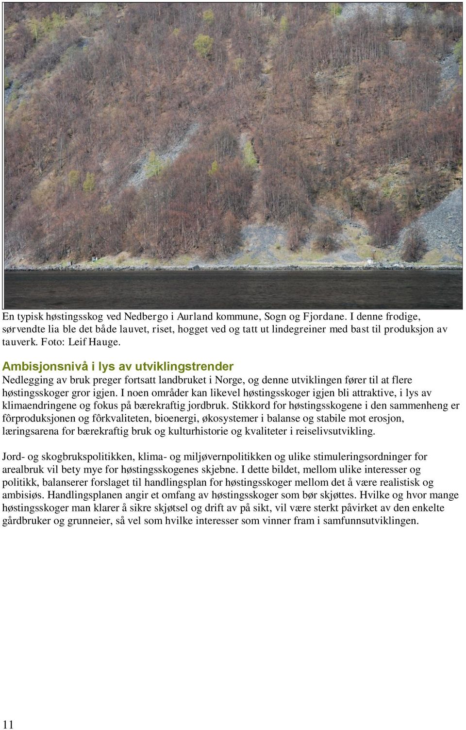 Ambisjonsnivå i lys av utviklingstrender Nedlegging av bruk preger fortsatt landbruket i Norge, og denne utviklingen fører til at flere høstingsskoger gror igjen.