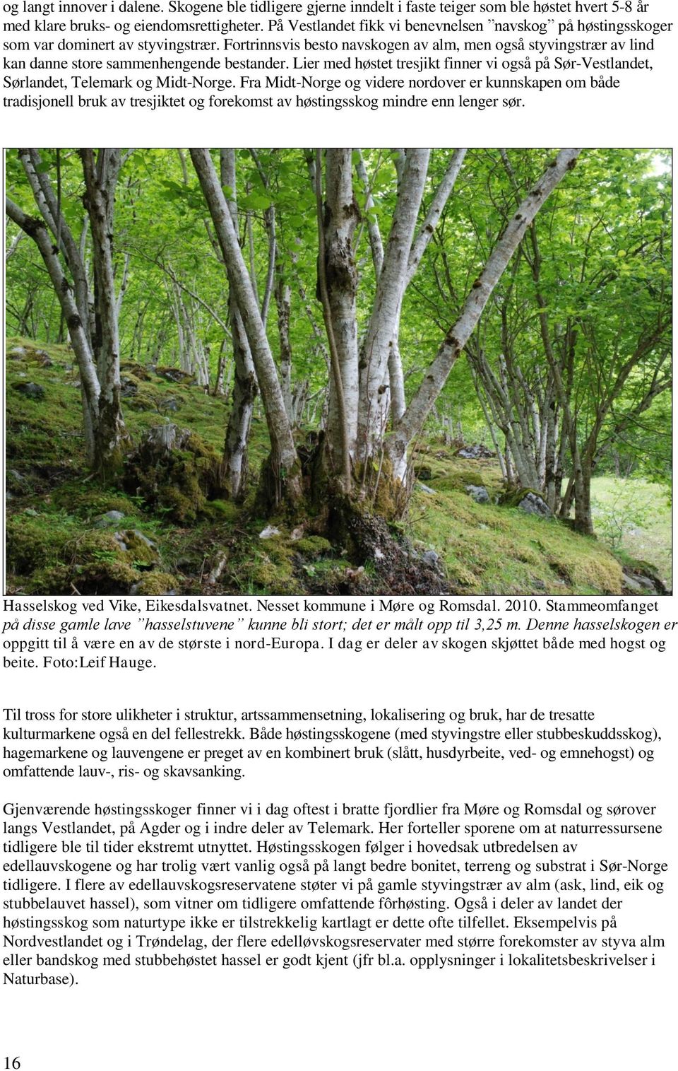 Fortrinnsvis besto navskogen av alm, men også styvingstrær av lind kan danne store sammenhengende bestander.