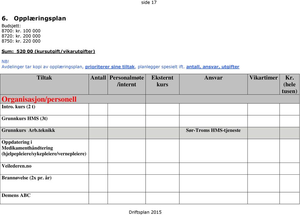 antall, ansvar, utgifter Tiltak Organisasjon/personell Intro. kurs (2 t) Antall Personalmøte /internt Eksternt kurs Ansvar Vikartimer Kr.