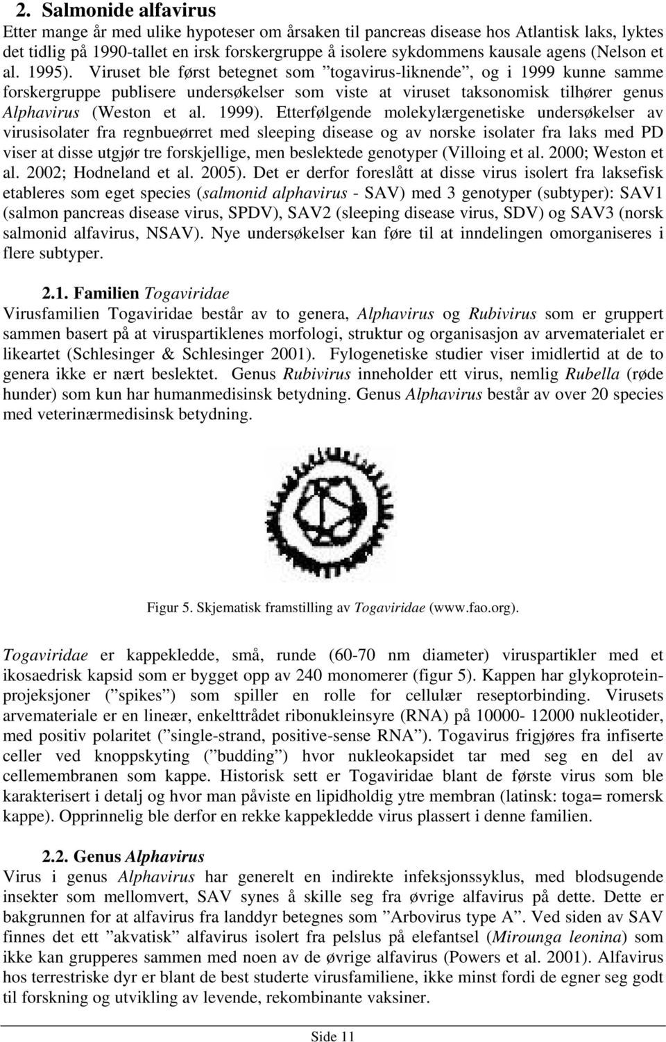 Viruset ble først betegnet som togavirus-liknende, og i 1999 kunne samme forskergruppe publisere undersøkelser som viste at viruset taksonomisk tilhører genus Alphavirus (Weston et al. 1999).