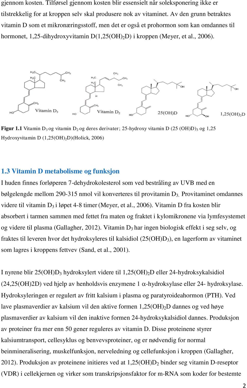 1 Vitamin D 3 og vitamin D 2 og deres derivater; 25-hydroxy vitamin D (25 (OH)D) 3 og 1,25 Hydroxyvitamin D (1,25(OH) 2 D)(Holick, 2006) 1.