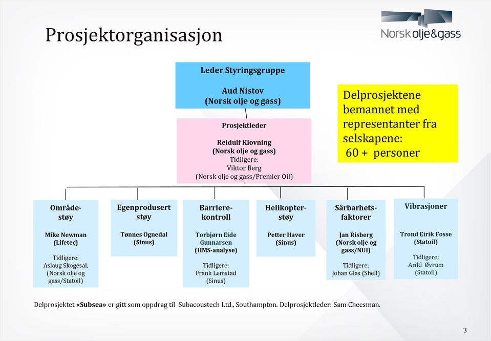 Tidligere: Aslaug Skogesal, (Norsk olje og gass/statoil) Tønnes Ognedal (Sinus) Torbjørn Eide Gunnarsen (HMS-analyse) Tidligere: Frank Lemstad (Sinus) Petter Haver (Sinus) Jan Risberg (Norsk olje