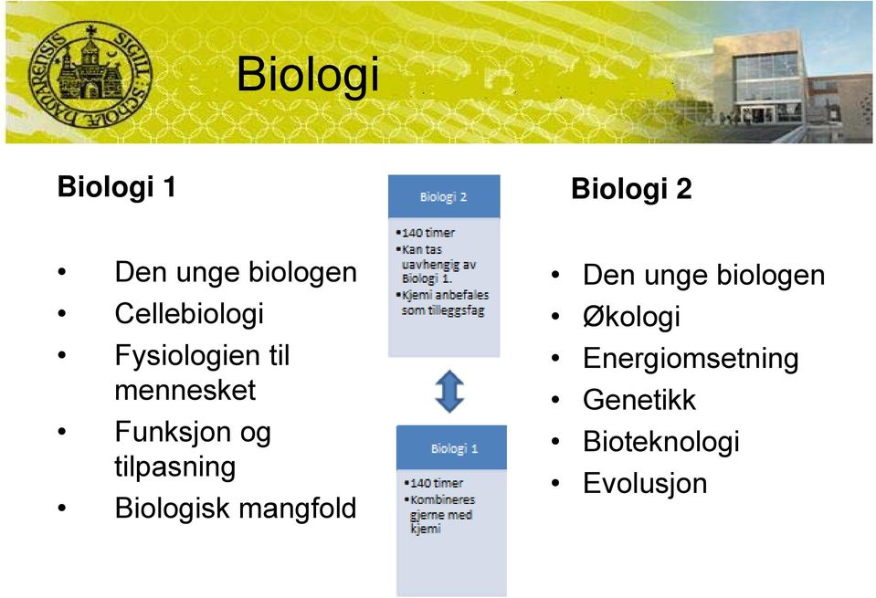 og tilpasning Biologisk mangfold Den unge