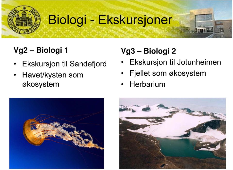 som økosystem Vg3 Biologi 2 Ekskursjon