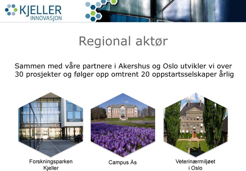 og følger opp omtrent 20 oppstartsselskaper årlig