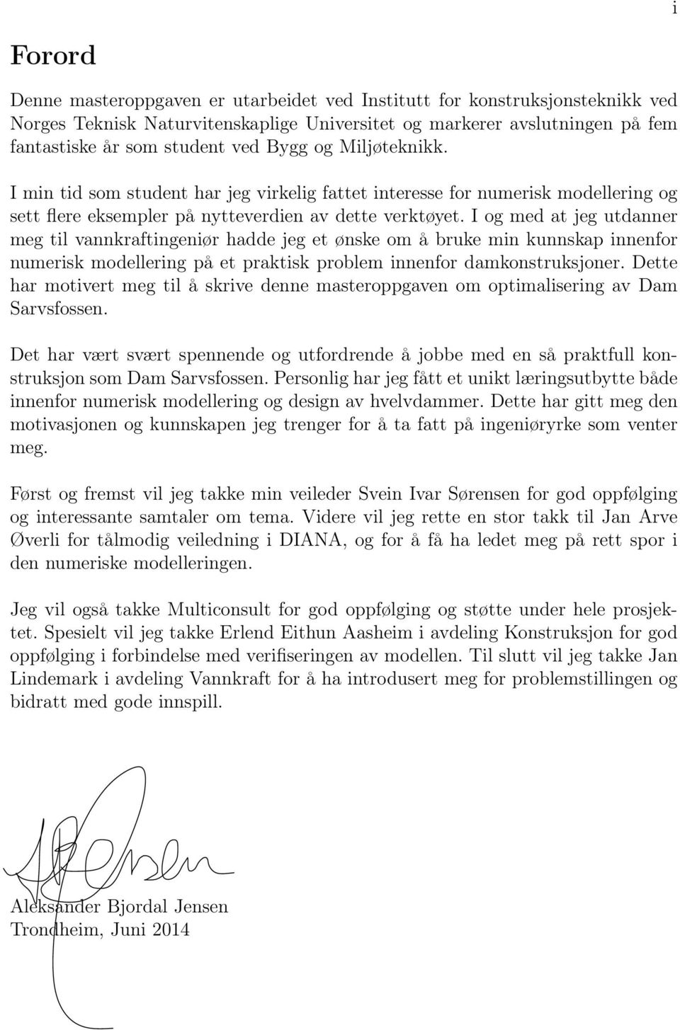 I og med at jeg utdanner meg til vannkraftingeniør hadde jeg et ønske om å bruke min kunnskap innenfor numerisk modellering på et praktisk problem innenfor damkonstruksjoner.