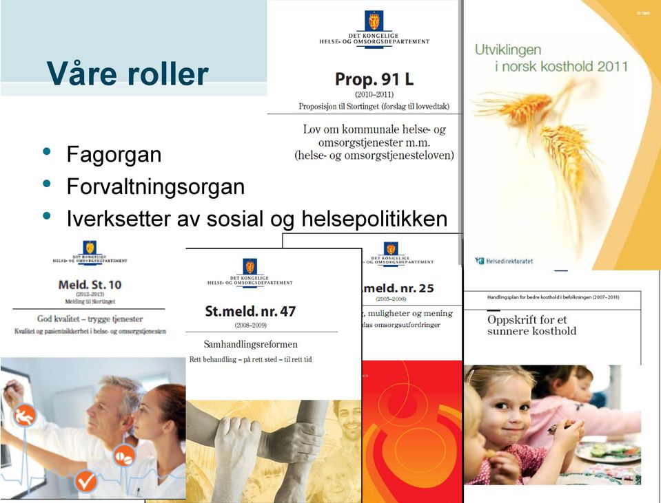 Iverksetter av sosial