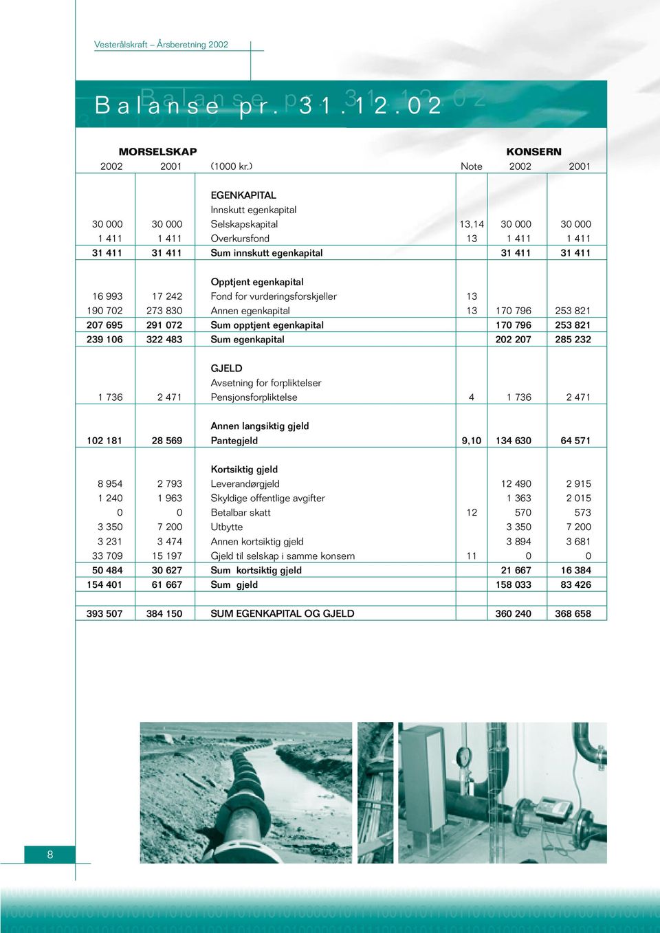 Opptjent egenkapital 16 993 17 242 Fond for vurderingsforskjeller 13 190 702 273 830 Annen egenkapital 13 170 796 253 821 207 695 291 072 Sum opptjent egenkapital 170 796 253 821 239 106 322 483 Sum