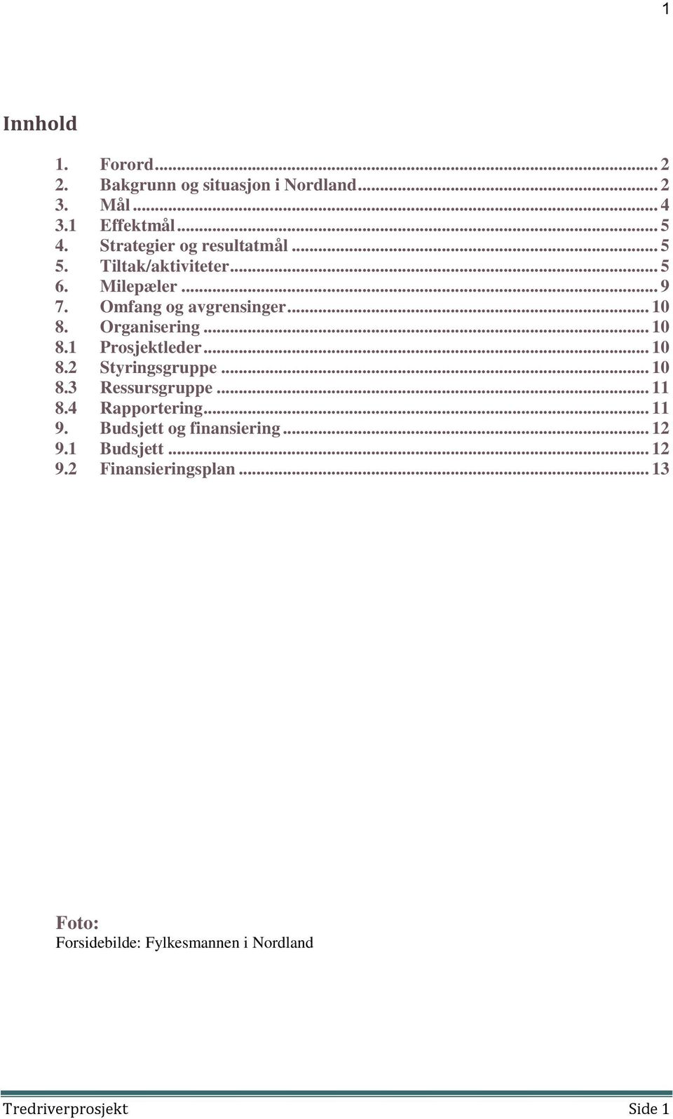 Organisering... 10 8.1 Prosjektleder... 10 8.2 Styringsgruppe... 10 8.3 Ressursgruppe... 11 8.4 Rapportering... 11 9.