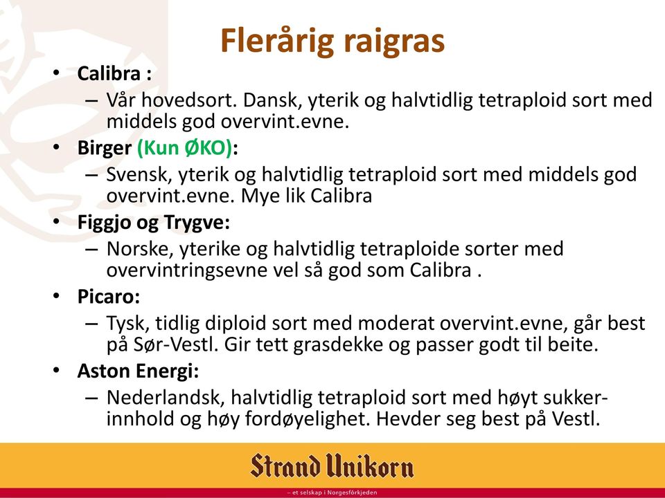 Mye lik Calibra Figgjo og Trygve: Norske, yterike og halvtidlig tetraploide sorter med overvintringsevne vel så god som Calibra.