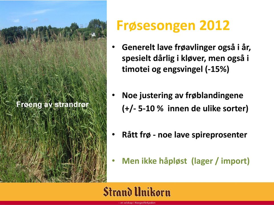 strandrør Noe justering av frøblandingene (+/- 5-10 % innen de ulike