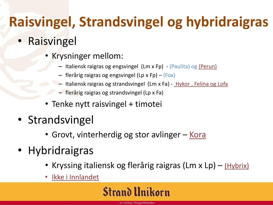 Hykor, Felina og Lofa flerårig raigras og strandsvingel (Lp x Fa) Tenke nytt raisvingel + timotei Strandsvingel Grovt,