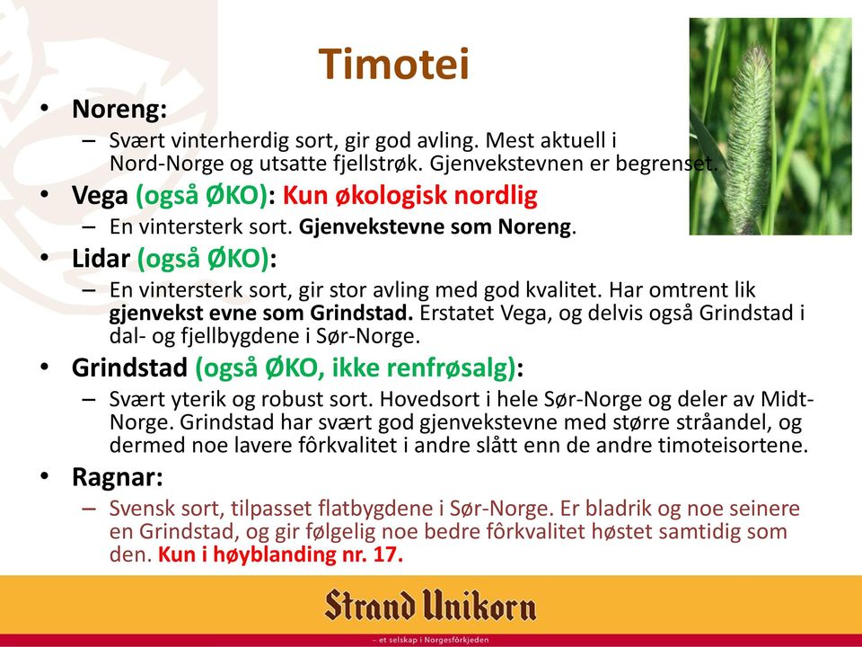 Erstatet Vega, og delvis også Grindstad i dal- og fjellbygdene i Sør-Norge. Grindstad (også ØKO, ikke renfrøsalg): Svært yterik og robust sort. Hovedsort i hele Sør-Norge og deler av Midt- Norge.