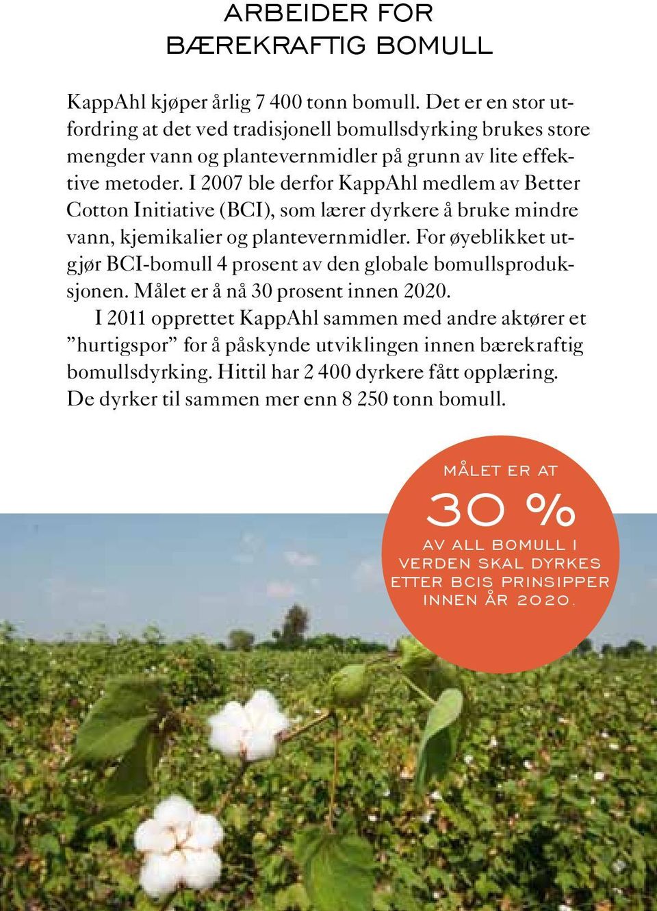 I 2007 ble derfor KappAhl medlem av Better Cotton Initiative (BCI), som lærer dyrkere å bruke mindre vann, kjemikalier og plantevernmidler.