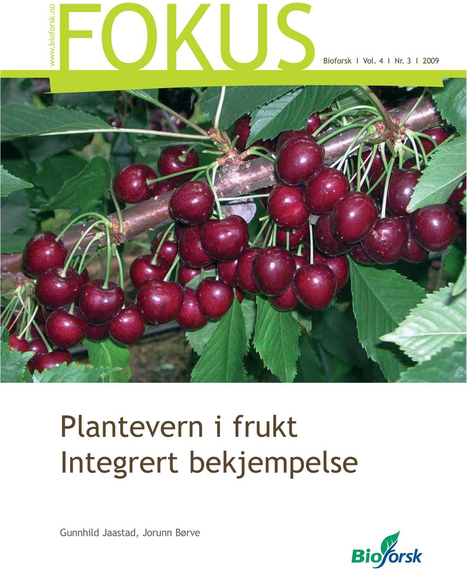 3 I 2009 Plantevern i frukt