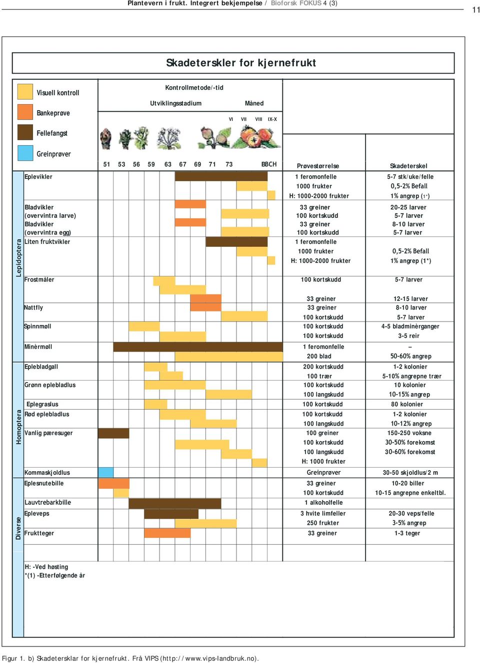 Lepidoptera Greinprøver 51 53 56 59 63 67 69 71 73 BBCH Prøvestørrelse Skadeterskel Eplevikler 1 feromonfelle 5-7 stk/uke/felle 1000 frukter 0,5-2% Befall H: 1000-2000 frukter 1% angrep (1*)