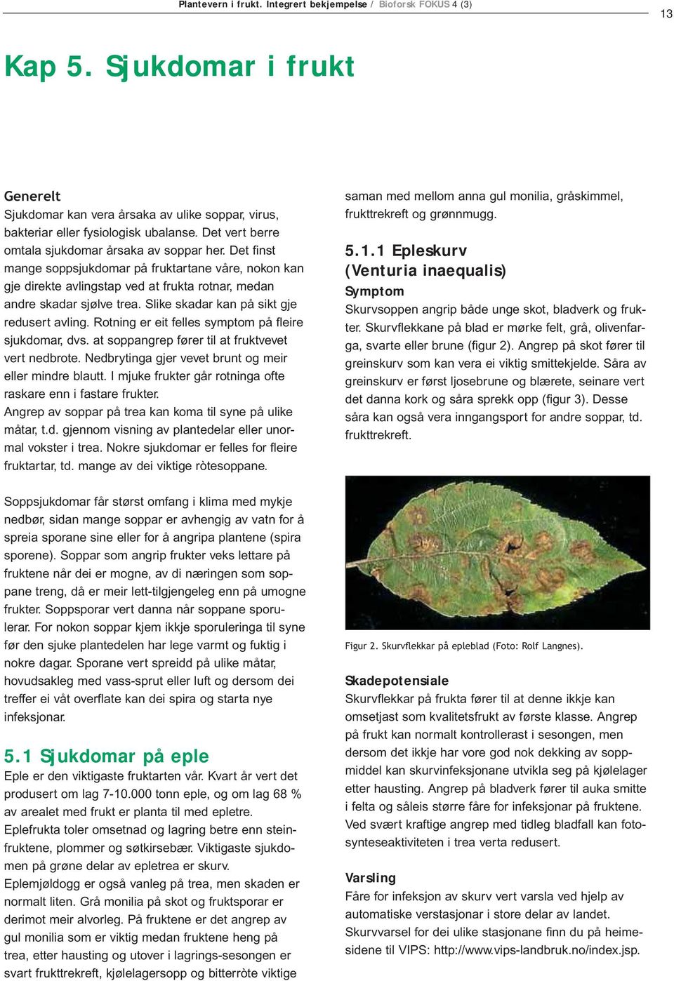 Slike skadar kan på sikt gje redusert avling. Rotning er eit felles symptom på fleire sjukdomar, dvs. at soppangrep fører til at fruktvevet vert nedbrote.