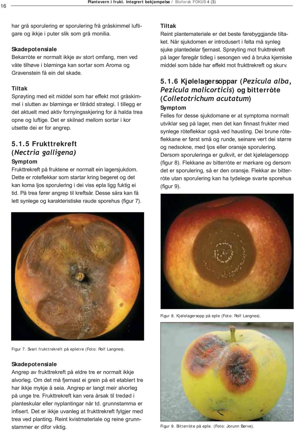 Sprøyting med eit middel som har effekt mot gråskimmel i slutten av bløminga er tilrådd strategi. I tillegg er det aktuelt med aktiv fornyingsskjering for å halda trea opne og luftige.