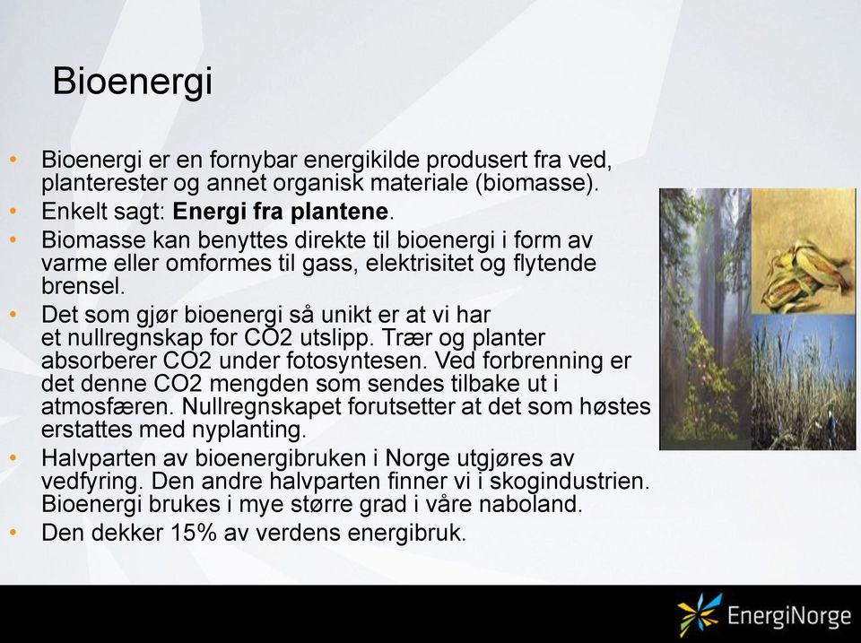 Det som gjør bioenergi så unikt er at vi har et nullregnskap for CO2 utslipp. Trær og planter absorberer CO2 under fotosyntesen.