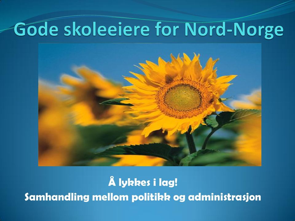 mellom politikk