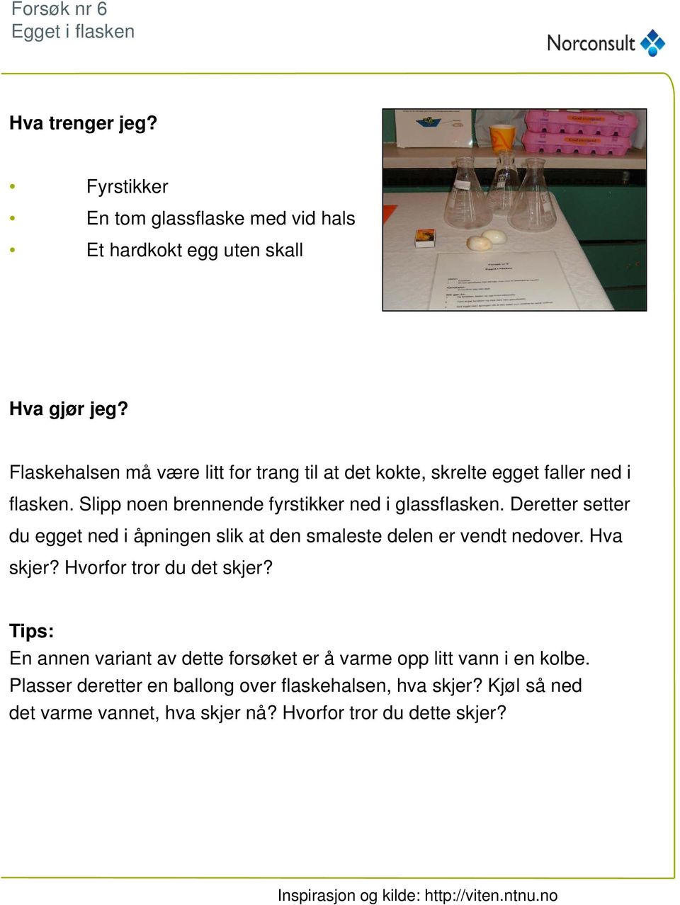 Deretter setter du egget ned i åpningen slik at den smaleste delen er vendt nedover. Hva skjer? Hvorfor tror du det skjer?