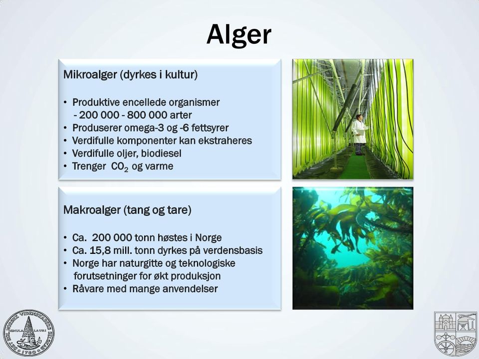 og varme Makroalger (tang og tare) Ca. 200 000 tonn høstes i Norge Ca. 15,8 mill.