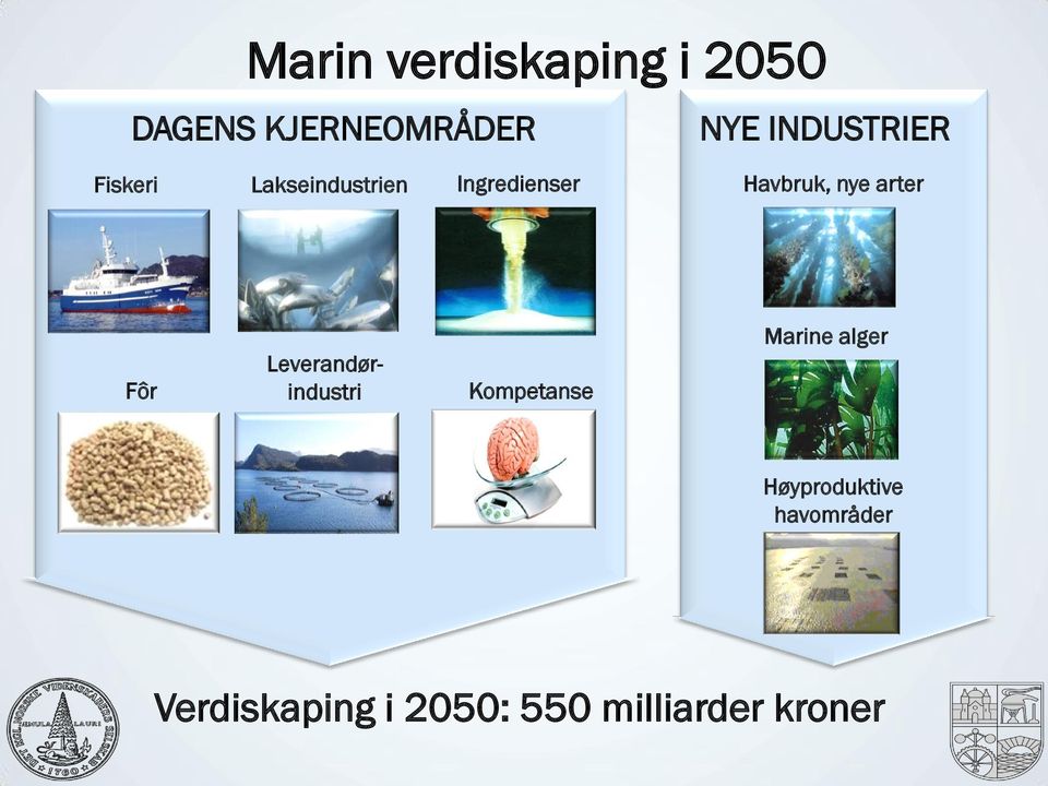 nye arter Fôr Leverandørindustri Kompetanse Marine alger