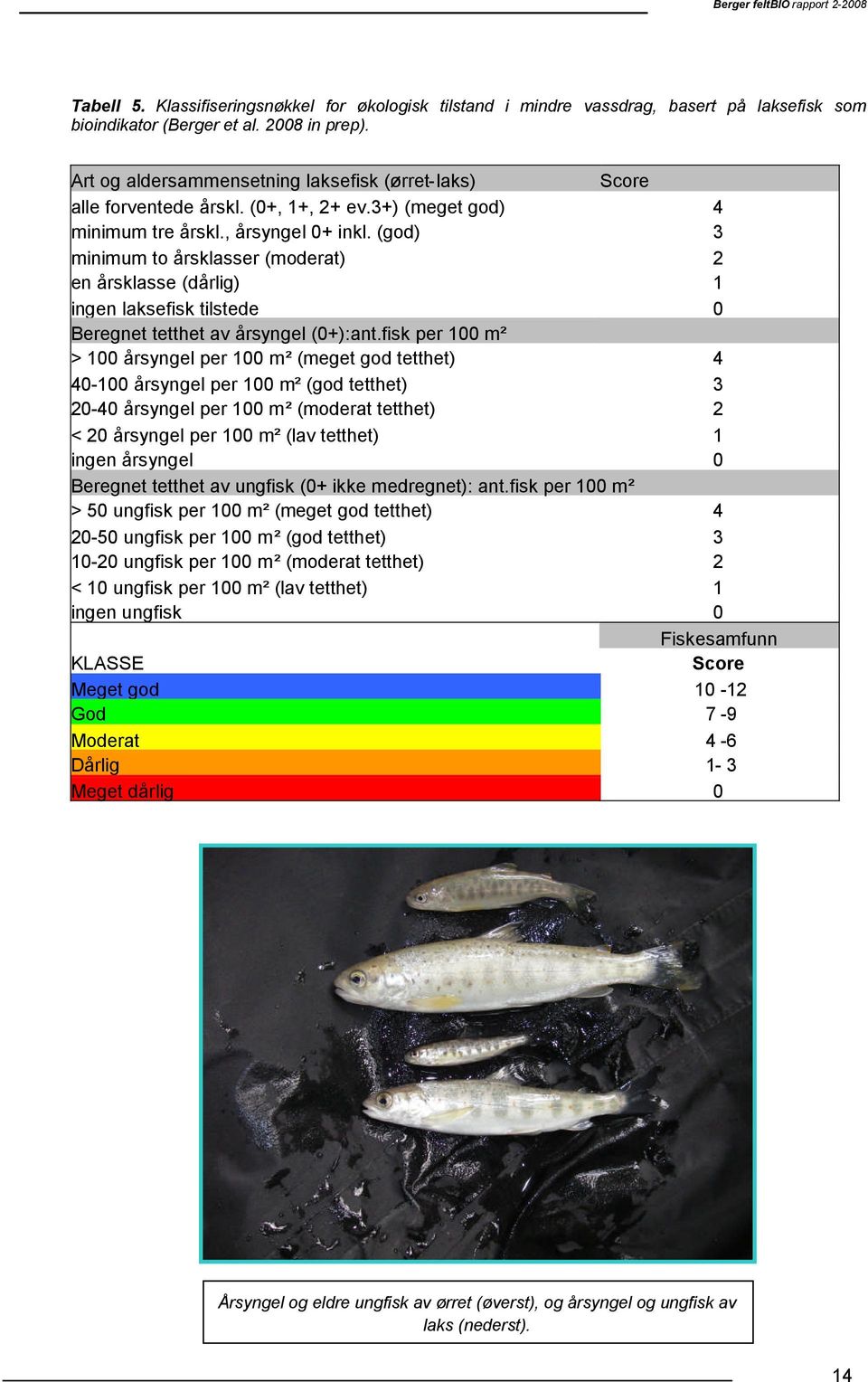 (god) minimum to årsklasser (moderat) en årsklasse (dårlig) ingen laksefisk tilstede Beregnet tetthet av årsyngel (+):ant.