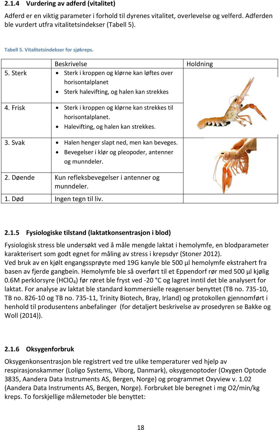 Frisk Sterk i kroppen og klørne kan strekkes til horisontalplanet. Halevifting, og halen kan strekkes. 3. Svak Halen henger slapt ned, men kan beveges.