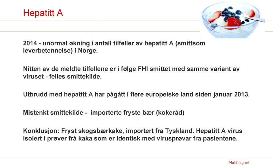 Utbrudd med hepatitt A har pågått i flere europeiske land siden januar 2013.