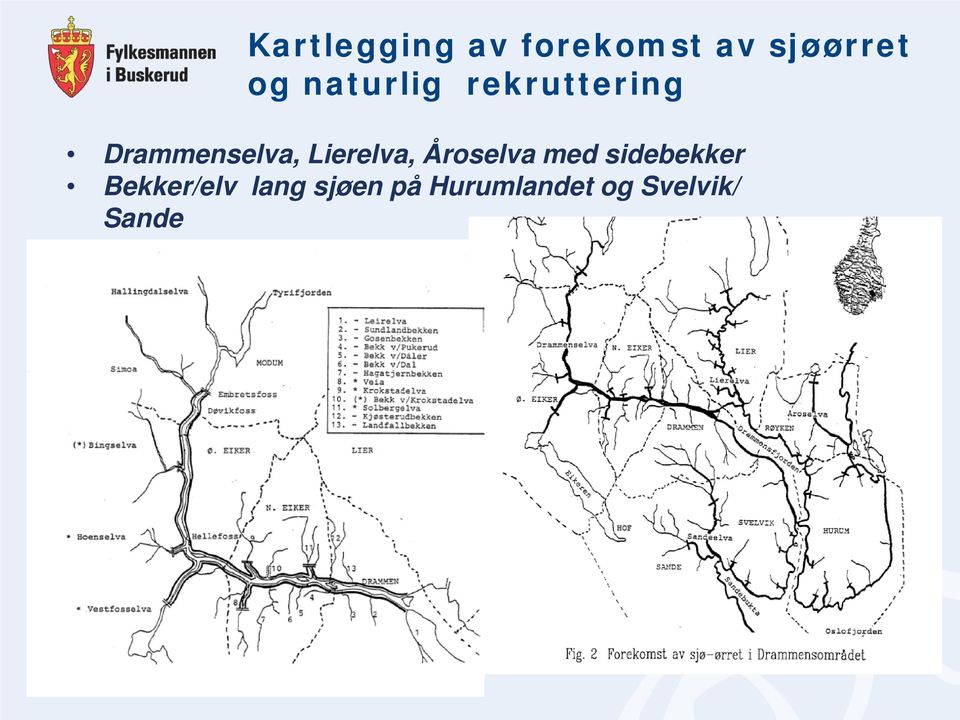 Lierelva, Åroselva med sidebekker