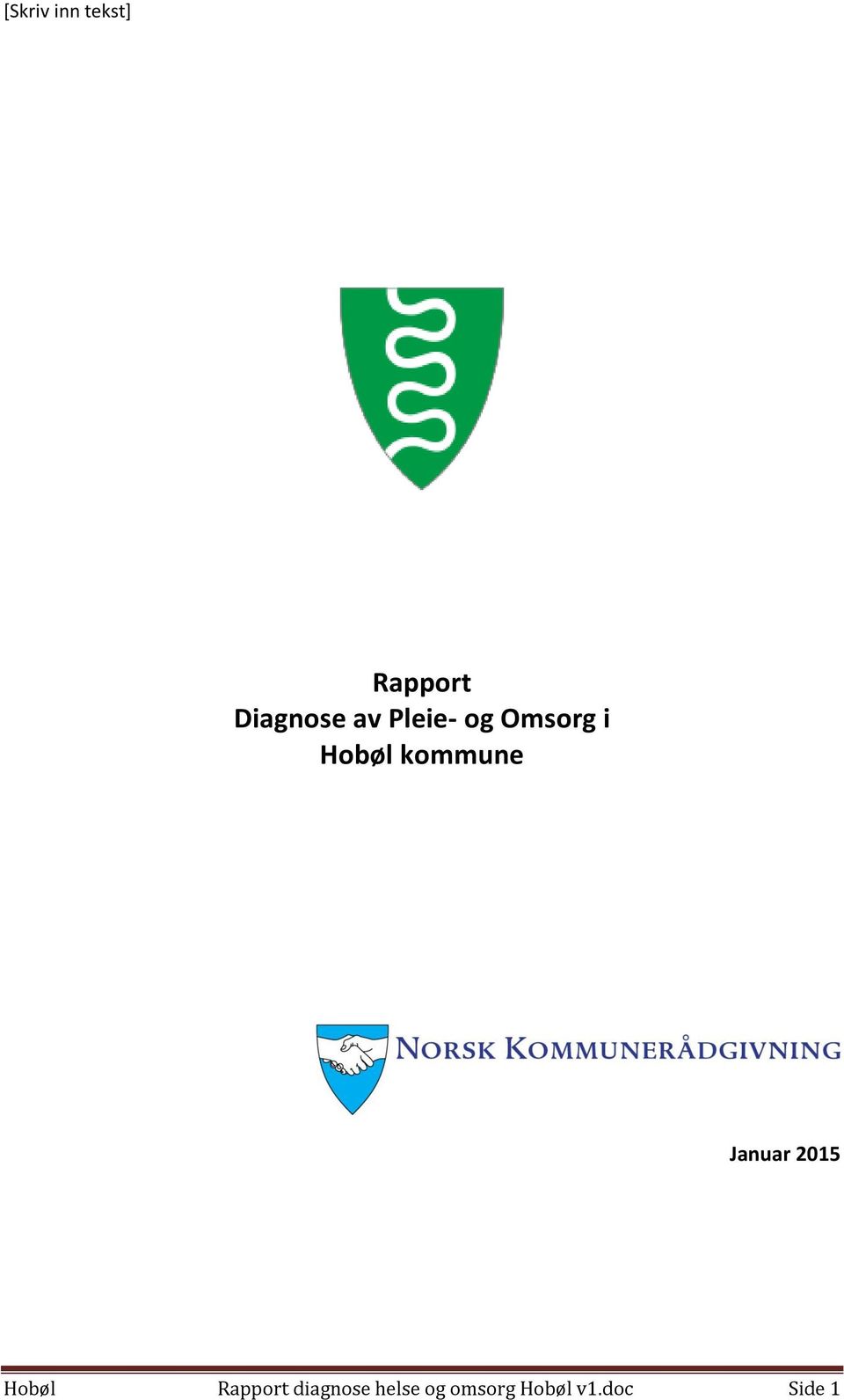 2015 Hobøl Rapport diagnose